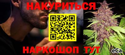 Альфа ПВП Можга