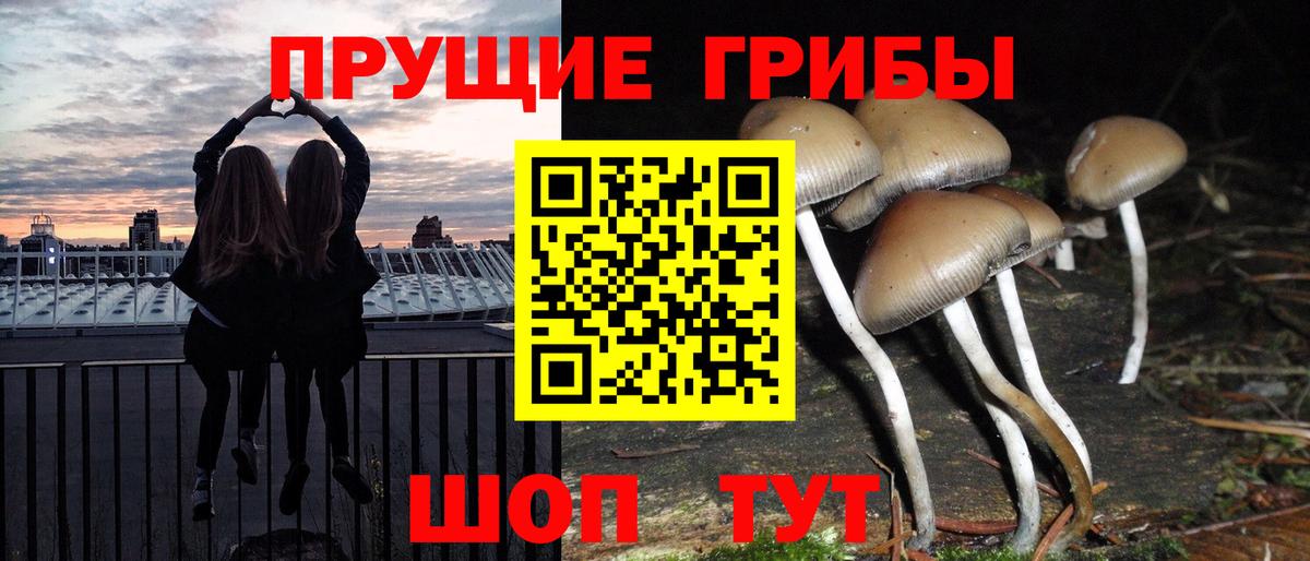 Туймазы  купить наркотики сайты  Вход с VPN  Галлюциногенные грибы Psilocybe 
